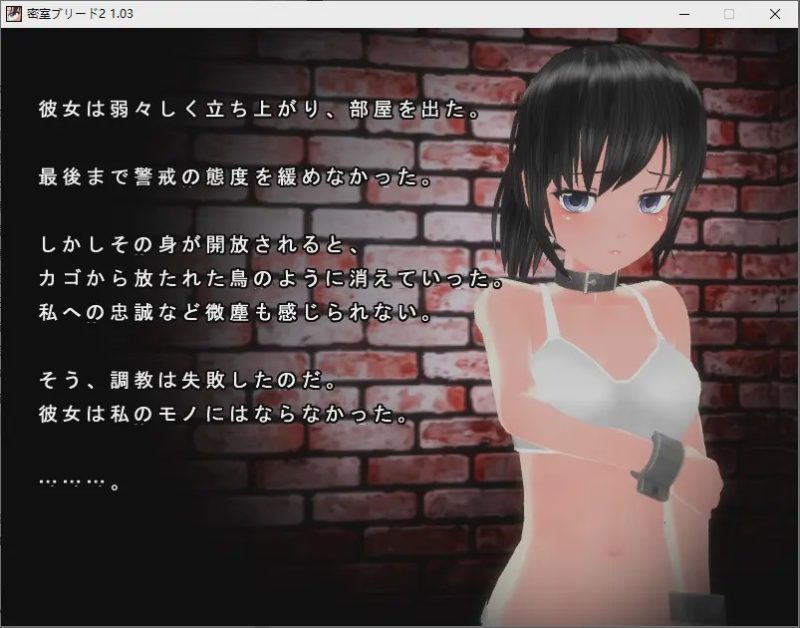 [SLG/日式] 密室拘禁 密室ブリード2 1.03游戏中文版下载|无需安装解压即玩-游界无限