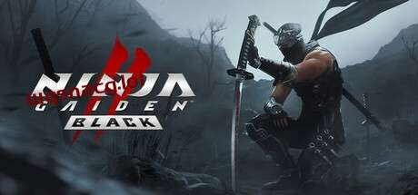 忍者龙剑传2:黑之章NINJA GAIDEN 2 Black v1.0.0官方中文免安装版游戏中文版下载|无需安装解压即玩-游界无限