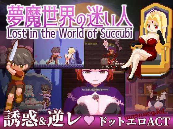 [动作ACT/像素动态] 迷失在梦境中 夢魔世界の迷い人 v1.03PC+安卓 官方中文版游戏中文版下载|无需安装解压即玩-游界无限