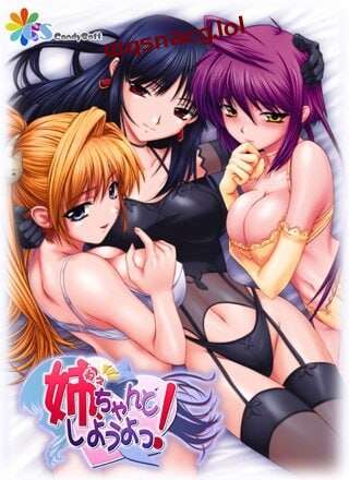 [日式ADV/后宫/PC] 姐姐，拜托你认真一点！姉、ちゃんとしようよっ！AI汉化版+全CG存档 1G游戏中文版下载|无需安装解压即玩-游界无限