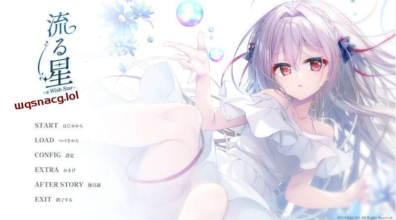 [拔作ADV] 流星-a wish star 流る星 v1.0 Steam官方中文+CG1.8G游戏中文版下载|无需安装解压即玩-游界无限