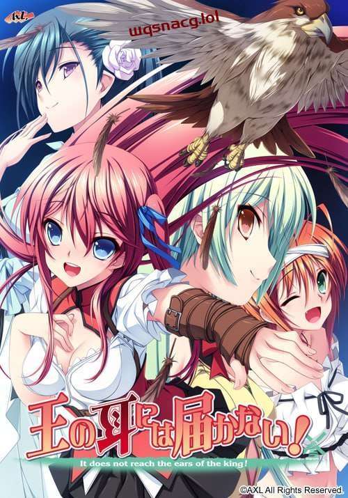 [拔作ADV] 王的耳朵听不到！王の耳には届かない！AI汉化版+全CG存档2.4G游戏中文版下载|无需安装解压即玩-游界无限