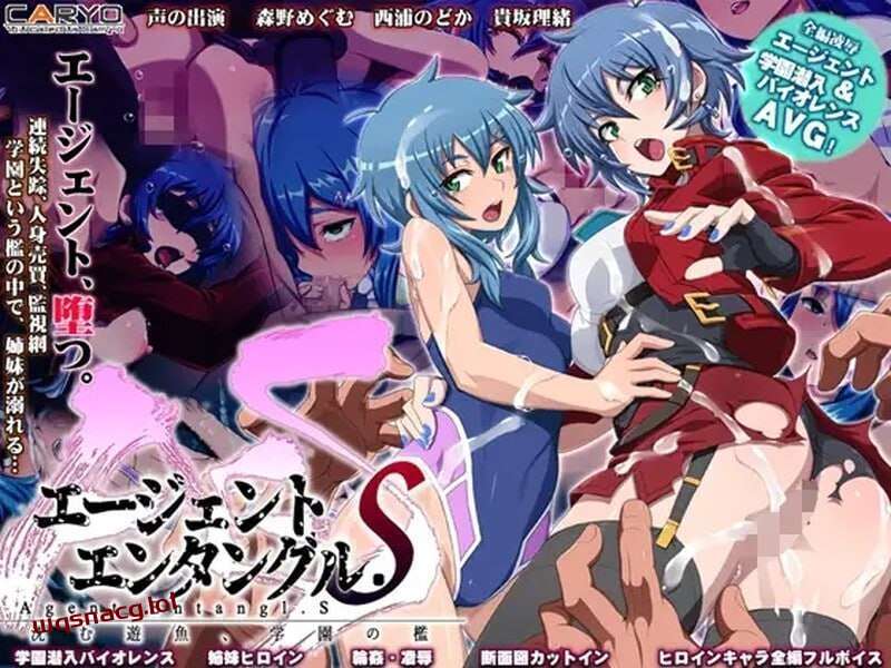 [拔作ADV] 校园囚禁 エージェントエンタングル.S 沈む遊魚、学園の檻 v1.0 AI汉化 [1.7G]游戏中文版下载|无需安装解压即玩-游界无限