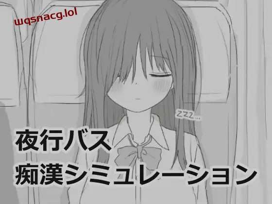 [互动SLG/黑白] 夜行バス痴漢シミュレーション 机翻汉化版 [1G]游戏中文版下载|无需安装解压即玩-游界无限