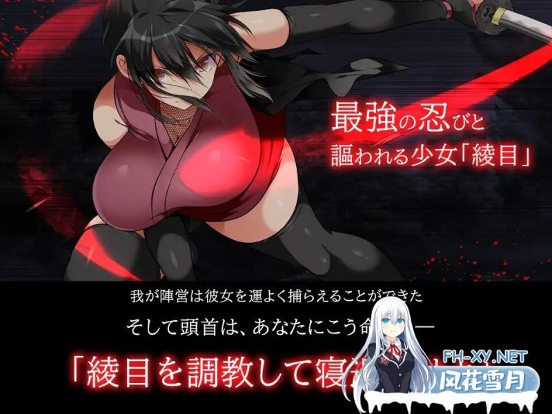 超大型爆款调教SLG/无码/超精美动态CG][全CG存档]忍堕－女忍调教 / 忍堕とし 步兵无码官方汉化硬盘版[百度解压11G]游戏中文版下载|无需安装解压即玩-游界无限