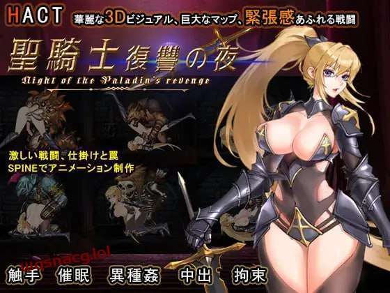 [动作ACT/全动态] 圣骑士复仇之夜 聖騎士復讐の夜 官方中文版 [5.6G]游戏中文版下载|无需安装解压即玩-游界无限