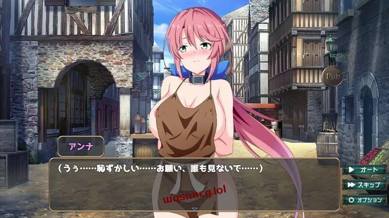 [互动SLG] 骑士安娜 -奴隶调教记录 騎士アンナ -奴隷調教記録 v1.0 AI汉化 [1G]游戏中文版下载|无需安装解压即玩-游界无限