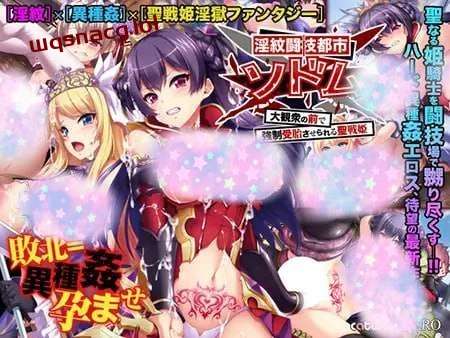 [拔作ADV] 银紋闘技都市ソドム～大観衆の前で強制受胎させられる聖戦姫～AI汉化 [4G]游戏中文版下载|无需安装解压即玩-游界无限