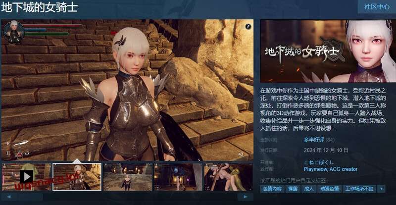 [ACT/汉化] 地下城的女骑士（地下城の女騎士）STEAM官中步兵3.4G游戏中文版下载|无需安装解压即玩-游界无限