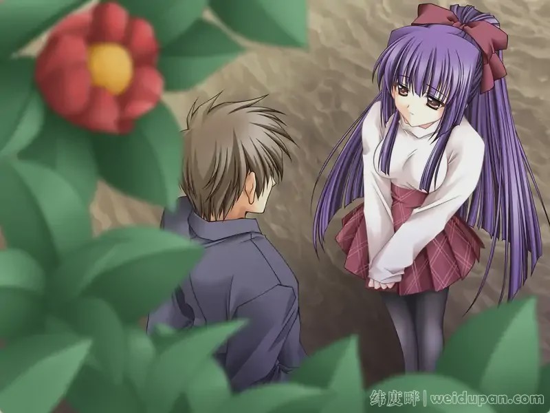 【神作ADV汉化】无颜之月 RENEWAL精翻完结+全CG存档+动画3.5G游戏中文版下载|无需安装解压即玩-游界无限