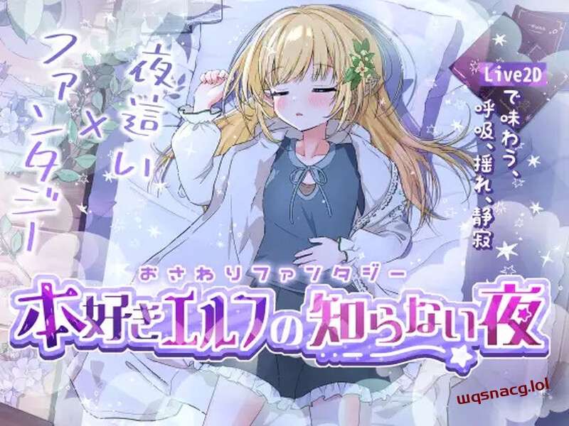 [互动SLG] 触摸幻想 喜欢书的精灵的未知之夜（おさわりファンタジー本好きエルフの知らない夜）V1.0 DL机翻游戏中文版下载|无需安装解压即玩-游界无限