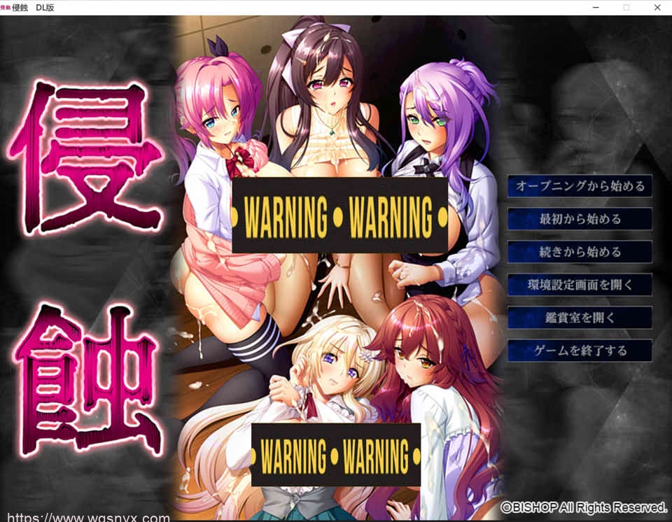 [ADV/AI机翻]BISHOP主教社 侵蚀 附带全CG存档PC+手机EX模拟器游戏中文版下载|无需安装解压即玩-游界无限