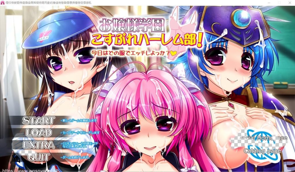 [ADV/中文] 大小姐学园Cosplay后宫部!今天要穿什么衣服来H呢 AI汉化版 2.6G游戏中文版下载|无需安装解压即玩-游界无限