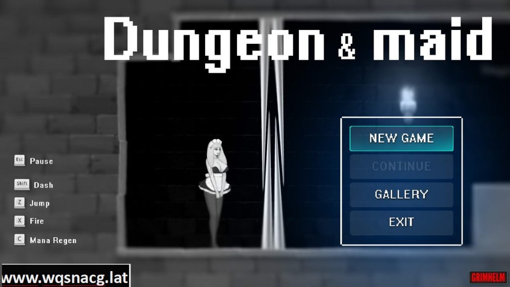 [ACT/全动态] 女仆和地牢：Dungeon&Maid 1080HD完整版+全CG档 [多空/1.4G]游戏中文版下载|无需安装解压即玩-游界无限
