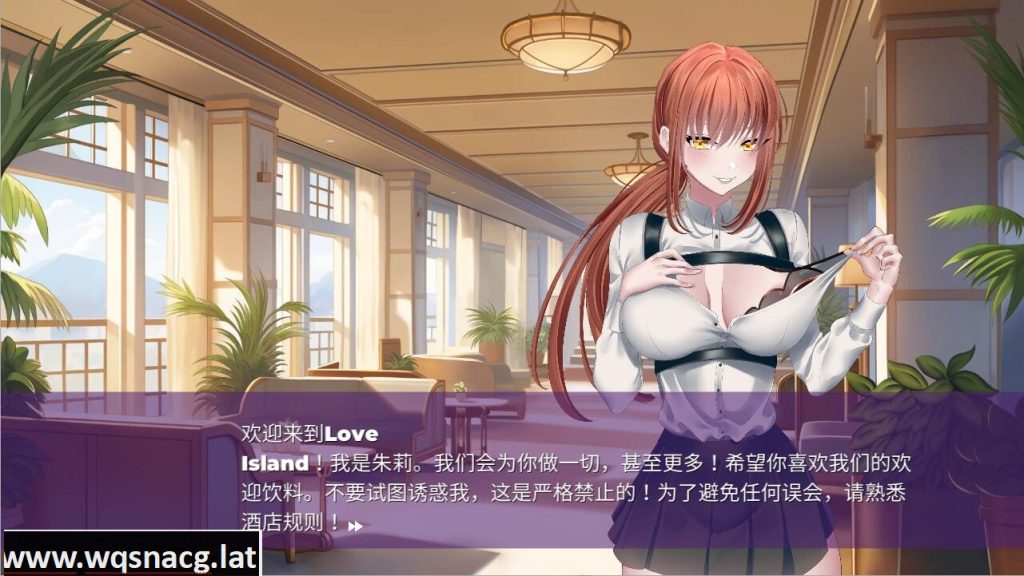 [SLG/中文] 爱情岛 Love Island STEAM官中无修版 [多空/500M]游戏中文版下载|无需安装解压即玩-游界无限