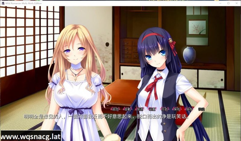 [ADV拔作/汉化/全CV] 我的兽耳后宫~野性的浪漫 汉化完结版+全CG [1.6G]游戏中文版下载|无需安装解压即玩-游界无限