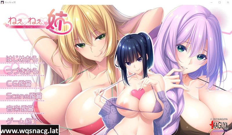 [ADV/汉化/动态] 姐姐们！ねぇねぇ姉！汉化版全CG包 [4.3G]游戏中文版下载|无需安装解压即玩-游界无限