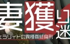 【爆款RPG/汉化】妻獲り迷宮:雪拉莉德的异种终身刑 汉化作弊版【PC+安卓/1.3G】游戏中文版下载|无需安装解压即玩-游界无限