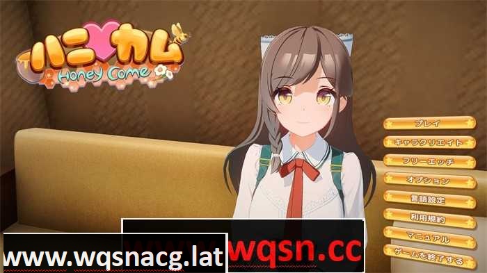 Honey Come ver2.0 中文步兵版 工作室+12778人物卡 3D互动游戏 20G游戏中文版下载|无需安装解压即玩-游界无限