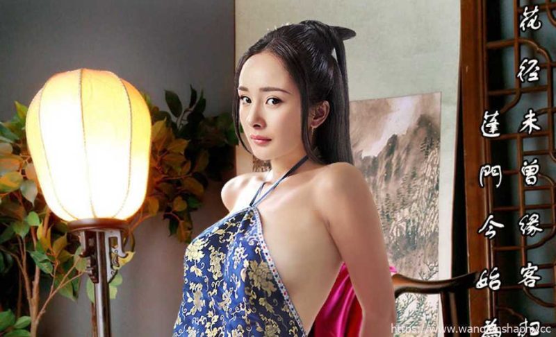 【奇怪同人/国产古装/中文】攻占大小姐!中文完结版!【超珍稀/完美融合/全明星】游戏中文版下载|无需安装解压即玩-游界无限