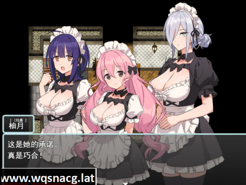 [RPG/汉化] 女仆和我的家 Hとメイドとマイホーム V1.01汉化版 [多空/200M]游戏中文版下载|无需安装解压即玩-游界无限