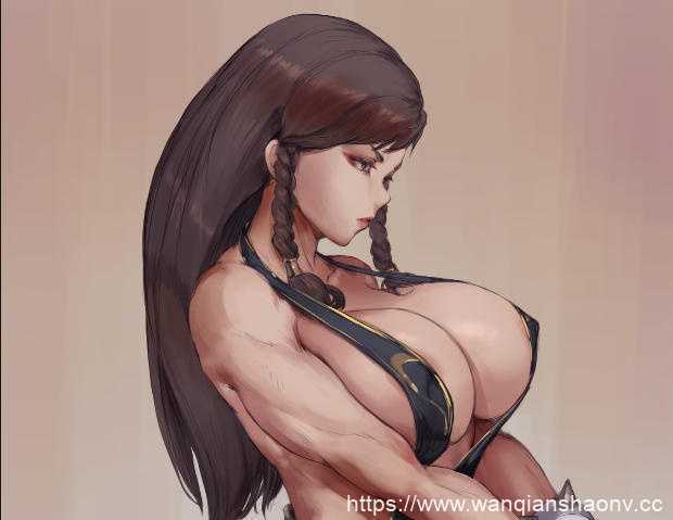 【3D同人/动画】Maiden-Masher 作品 死或生+街头霸王 【4G】游戏中文版下载|无需安装解压即玩-游界无限