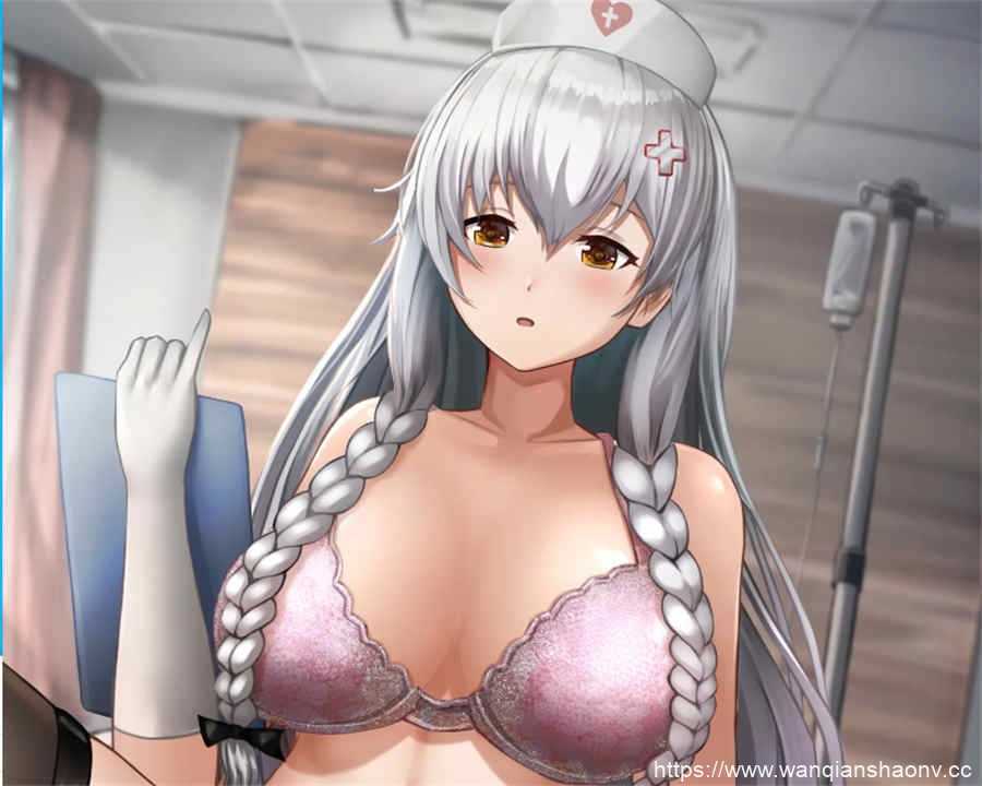 【2.5D/动画】とさか養鶏場【Tosaka Chicken Farm】【3.7G】游戏中文版下载|无需安装解压即玩-游界无限